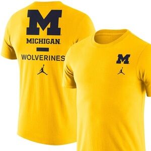 Small-3XL Michigan Wolverines Jordan Brand DNA Performance T-Shirt